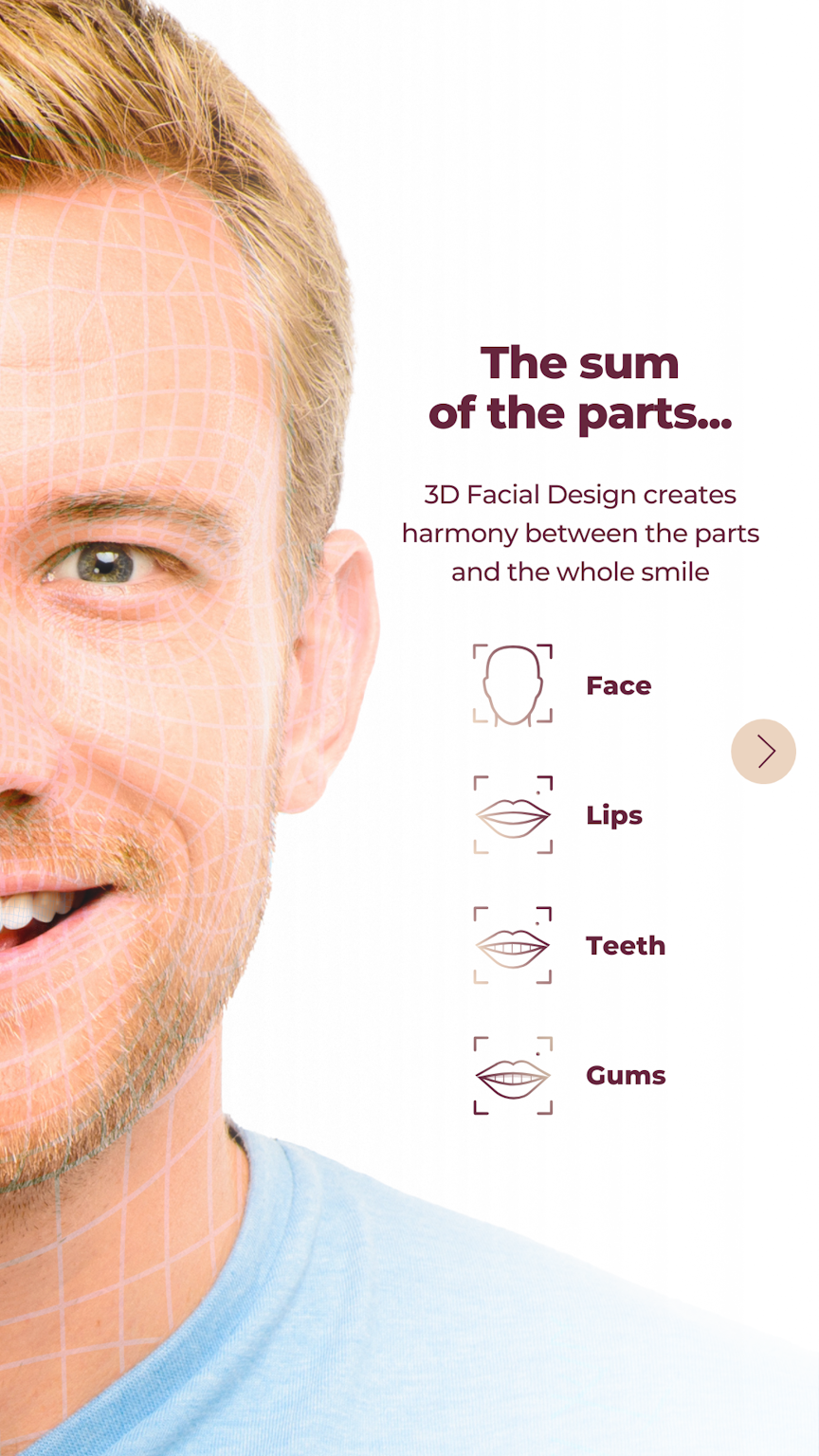 Diagram showing the four elements of 3D Facial Design: face, lips, teeth, and gums.